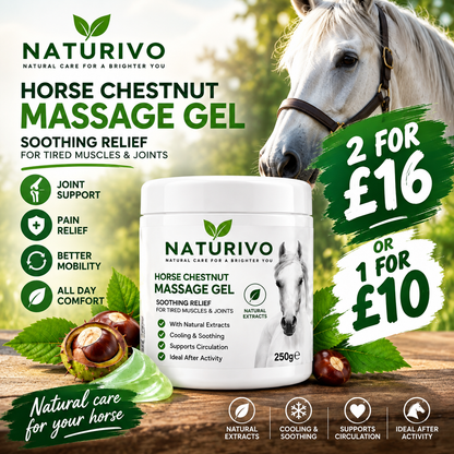 Naturivo Horse Chestnut Massage Gel – Cooling & Soothing – 250g